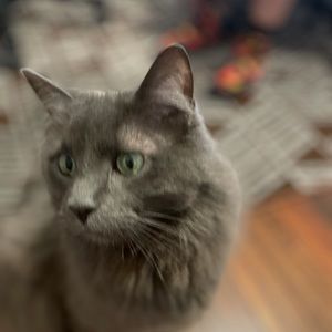 Meet your Posher, Aubrey